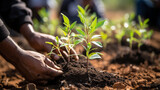 planting a plant HD 8K wallpaper Stock Photographic Image 