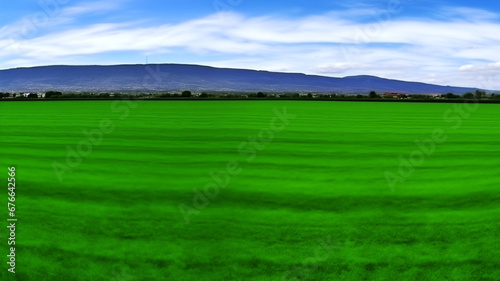 Landscape view of reen grass field Infront of the mountain and sky on background