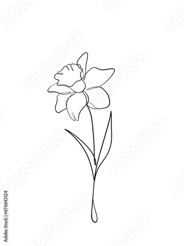 Daffodil flowers is hand drawn in continuous line art drawing style. Printable art.