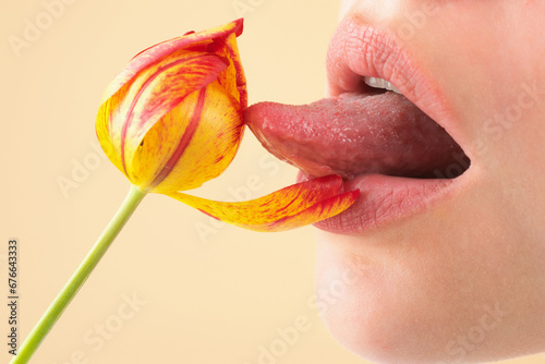 Plump sensual lips. lips with tulip flower. Sensual woman mouth, macro lip. Close up sensual lips with pink rose flower. Sexy lipstick. Sensual mouth macro. Sensuality touch.