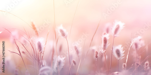  pink grass field look like pampas grass in romantic atmosphere,  August summer haze in herbs and wheat field in bokeh style, pastel colors AI Generative © Faiza