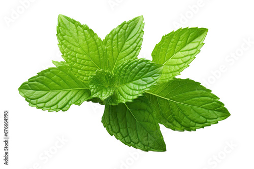 Fly fresh raw mint leaves isolated on white background
