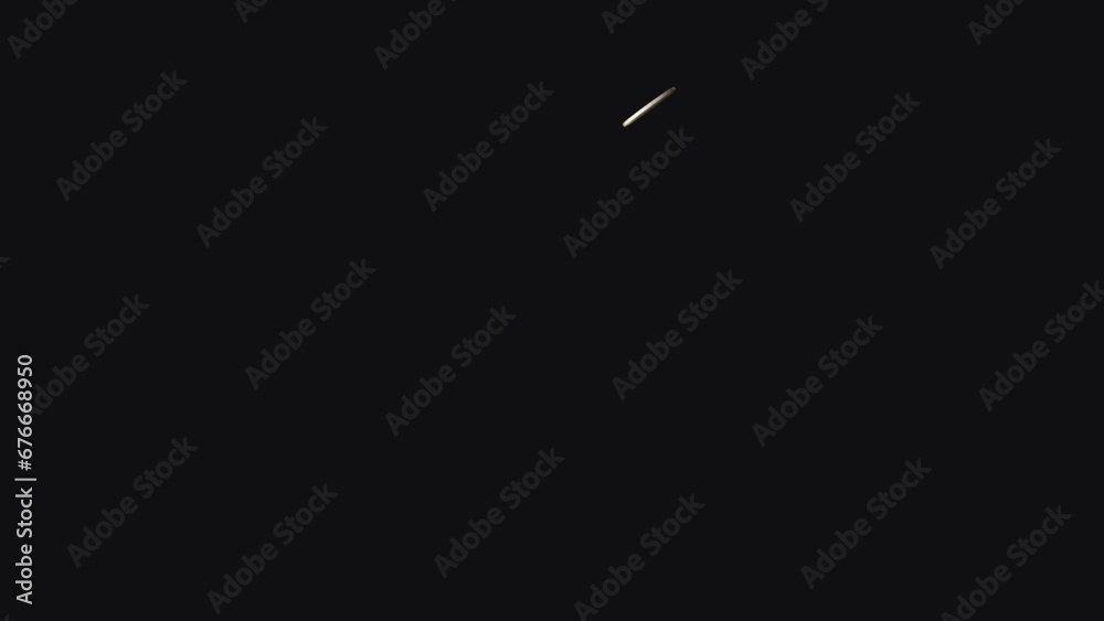 Flying Bitcoins - Orbit Loop - Alpha Channel
Flying Bitcoins - Orbit Loop - Alpha Channel