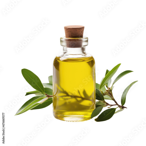 Pure Tea Tree Oil in Glass Bottle