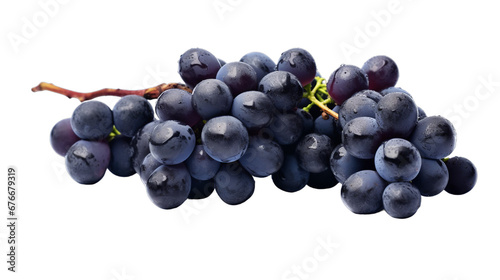 Bunch of blue grapes dry isolated on transparent background, Generative ai