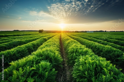 smart farming using modern technology in agriculture, photo