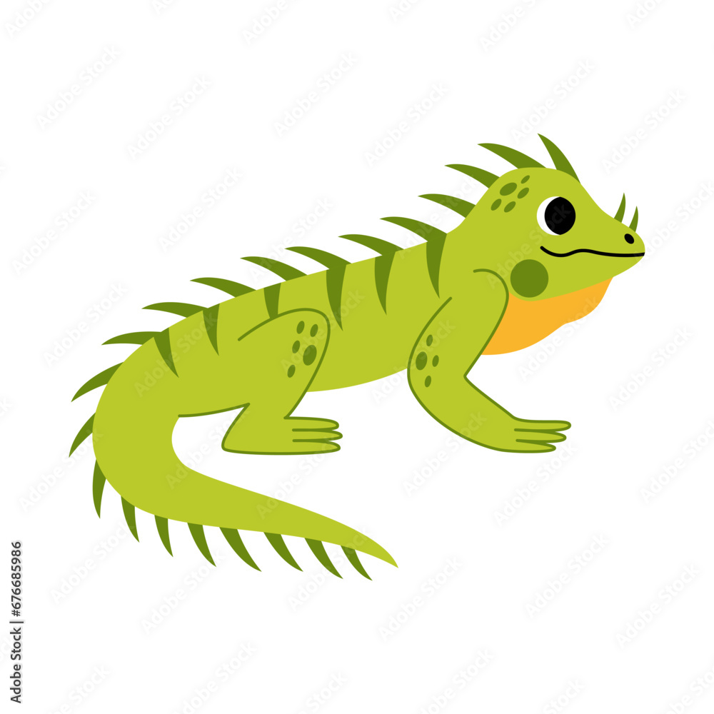 Vector illustration of cute iguana isolated on white background. Vector illustration of cute iguana isolated on white background.