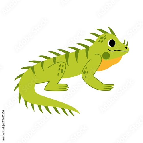Vector illustration of cute iguana isolated on white background.