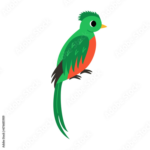 Vector illustration of cute quetzal bird isolated on white background.