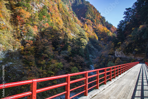 Fototapeta Naklejka Na Ścianę i Meble -  Okukane bridge near Keyakidaira railway station, Toyama, Japan