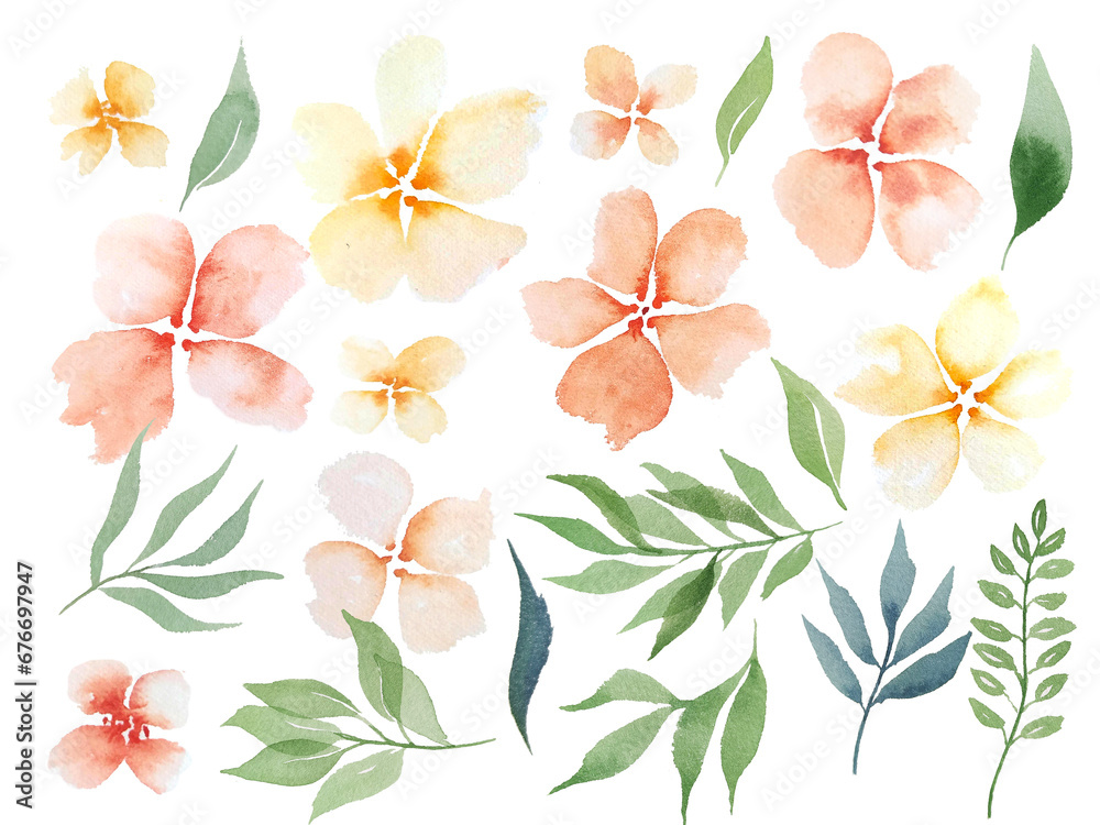 Watercolor pastel color flowers. Gentle design peach flowers hand drawn elements for invitation, postcards.