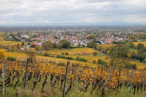 Deidesheim an der Weinstraße
 photo