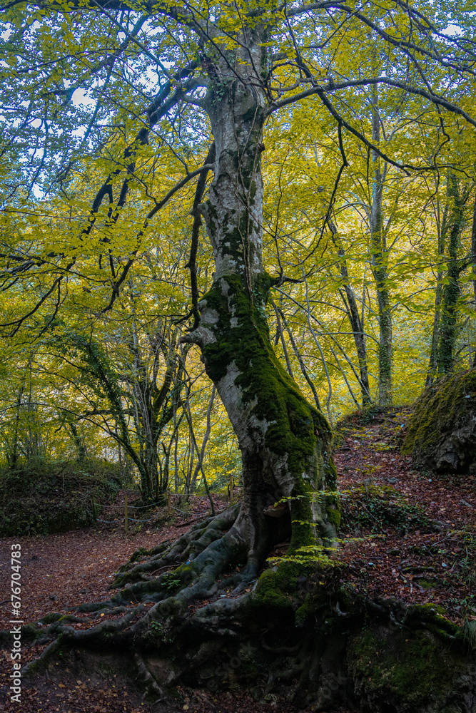 Route through the Source of Urederra. Navarre. Spain Route through the Source of Urederra. Navarre. Spain