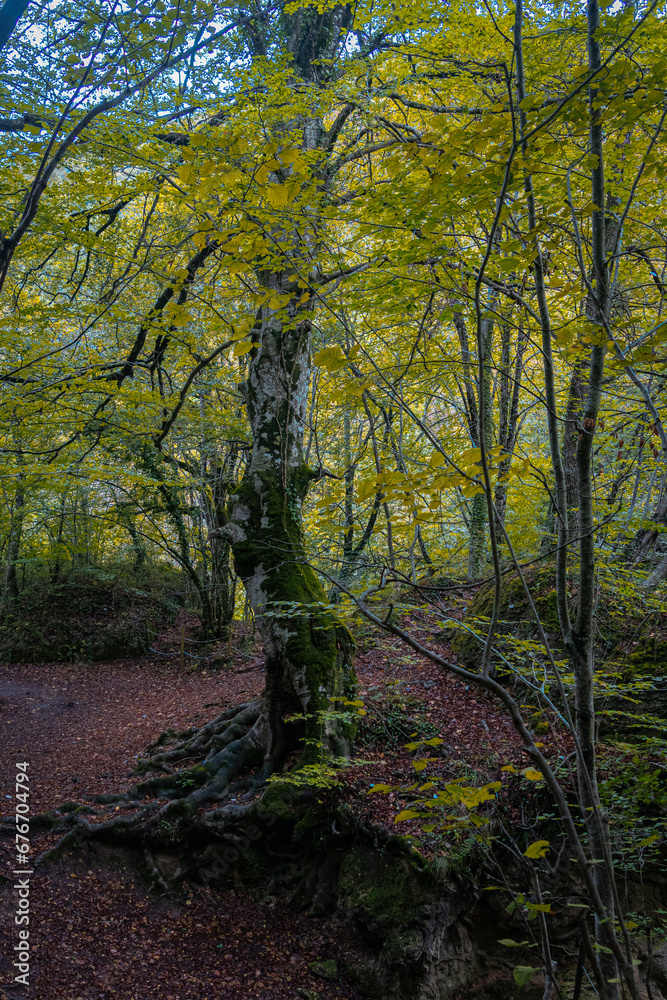 Naklejka premium Route through the Source of Urederra. Navarre. Spain