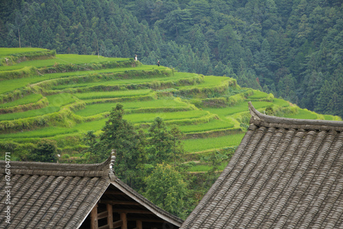 Terraced Field in Tangan, Guizhou, China
