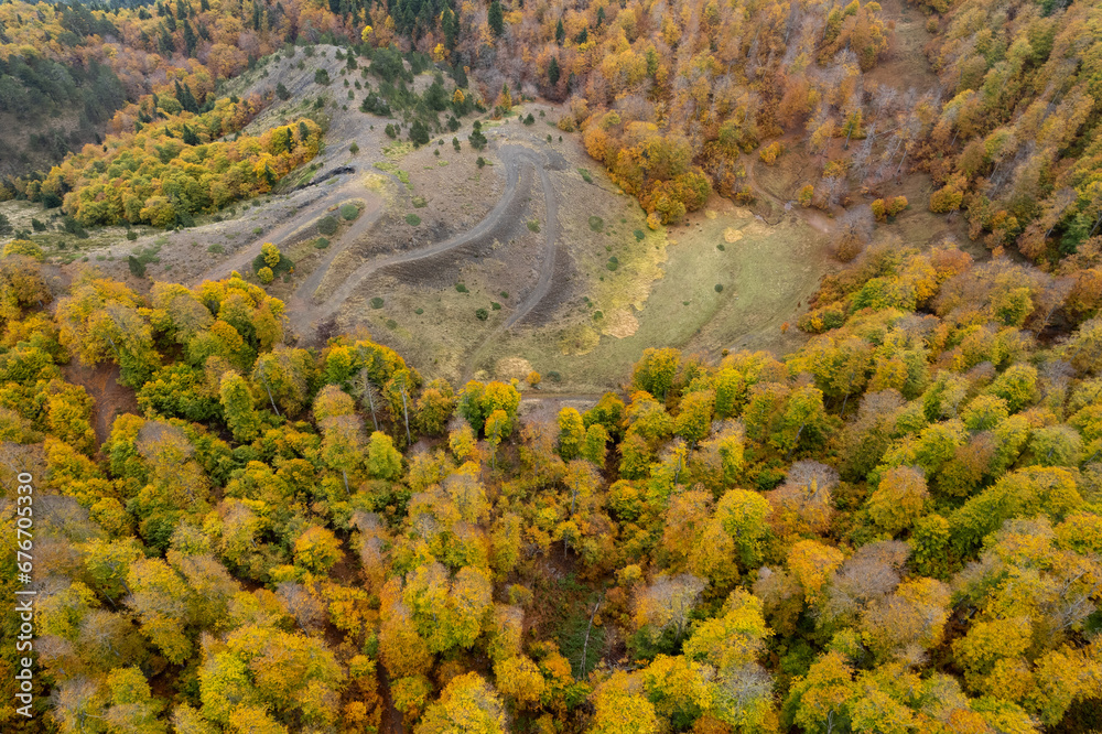 Drone aerial of Autumn forest road. View of autumn forest road with fallen leaves Fall season scenery. Epirus Greece