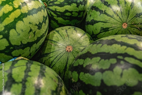 melons in a market