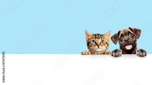 A cat and a dog peeking over a wooden ledge with curious expressions.	 photo