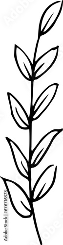 Line Art Leaves Hand Drawn Floral