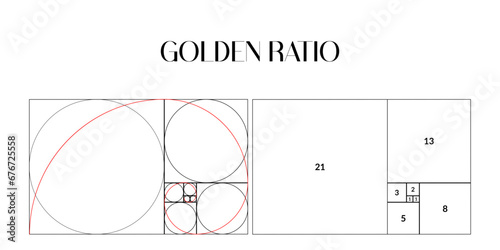 Golden ratio template. Composition spiral guideline illustration. Logarithmic spiral in rectangle frame fracted on lines, squares and circles outline.