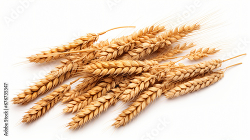 Grain on a white background