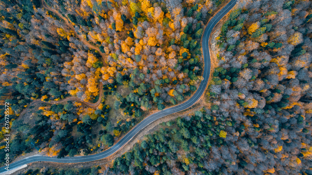A bird's eye view of the road where vehicles pass through the forest in the autumn season in Yedigoller National Park. Bolu, Turkey.