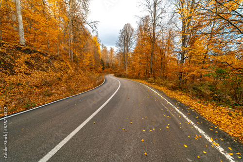 Asphalt road filled with fallen leaves from the trees of the yellow and orange forest in autumn season.