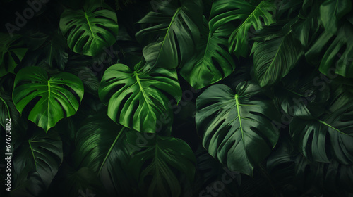 Green tropical leaves background. nature green background