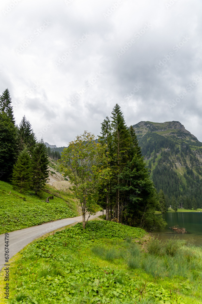 Fototapeta premium road in the mountains