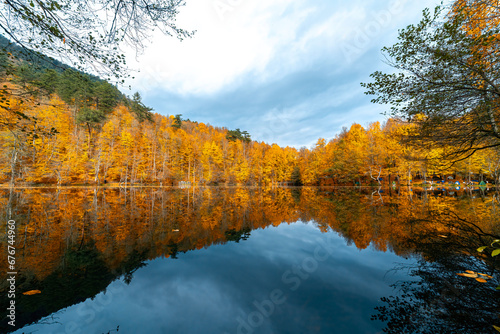 The image of autumn trees reflected in the clear water of the lake. The magnificent harmony of the blue sky and yellowing leaves.Yedigoller, Bolu.