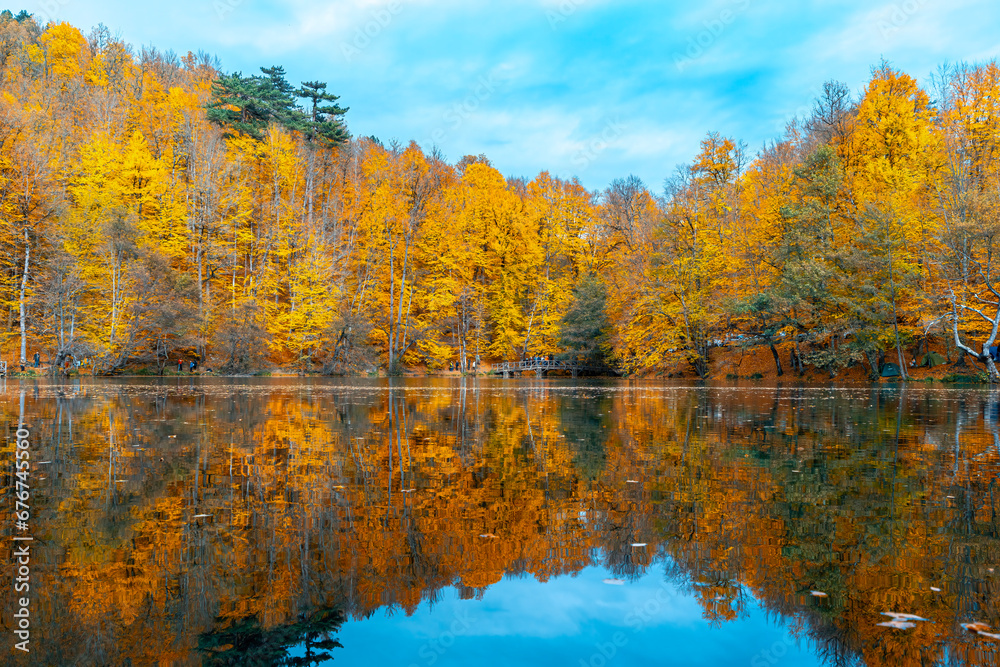 The image of autumn trees reflected in the clear water of the lake. The magnificent harmony of the blue sky and yellowing leaves. Yedigoller, Bolu.