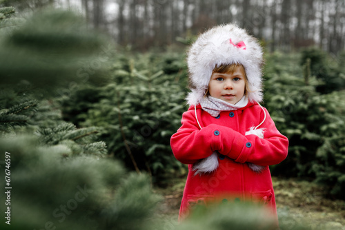 Adorable little toddler girl with Christmas tree on fir tree cutting plantation . Happy child in winter fashion clothes choosing, cut and felling own xmas tree in forest, family tradition in Germany photo
