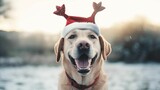 AI illustration of an adorable labrador wearing a festive reindeer antler hat