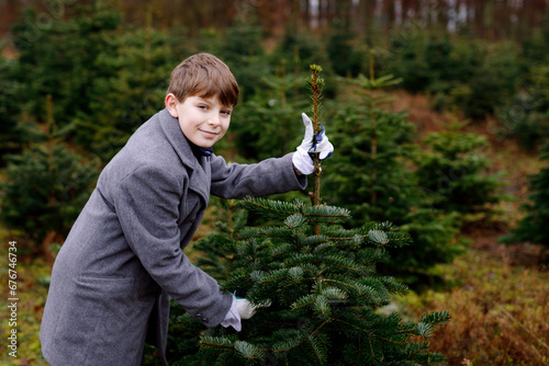 Adorable school kid boy with Christmas tree on fir tree cutting plantation . Happy child in winter fashion clothes choosing, cut and felling own xmas tree in forest, family tradition in Germany photo