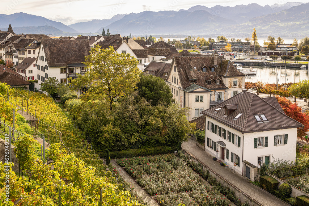 View over the village of Rapperswil with vines on the castle hill