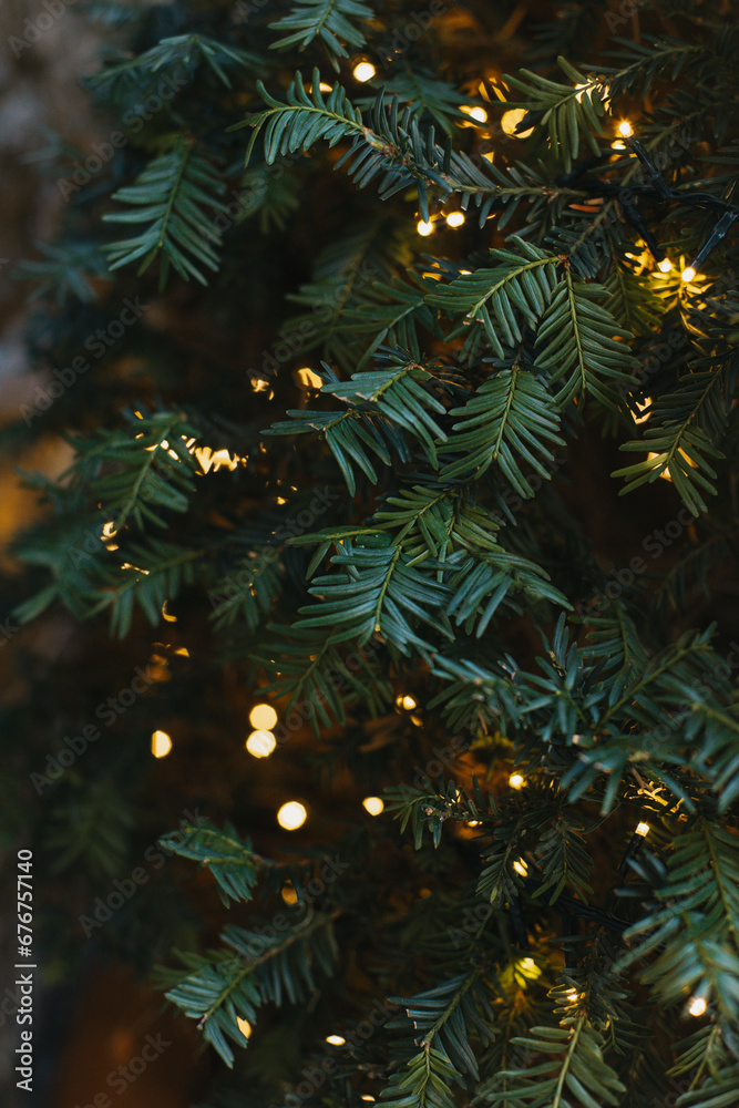 Blurred spruce branches with Christmas lights on a grey background.