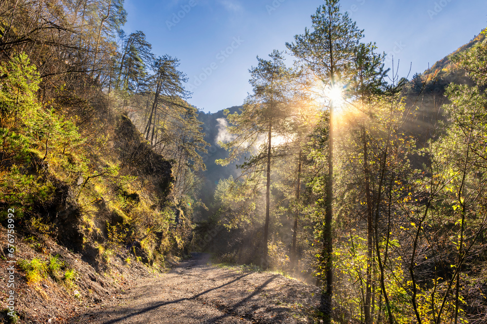 Beautiful mountain trail leading to Plera waterfall on the Carnia mountains area. Scenic autumnal forest landscape. Villa Santina, Udine province, Friuli Venezia Giulia, Italy.