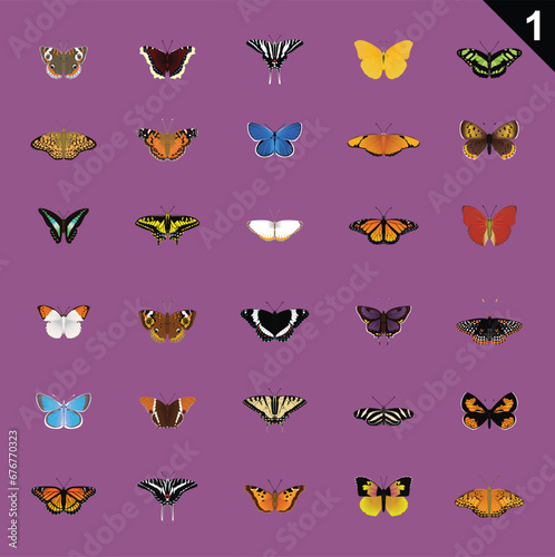 Butterfly Various Cartoon Vector Illustration Set 1