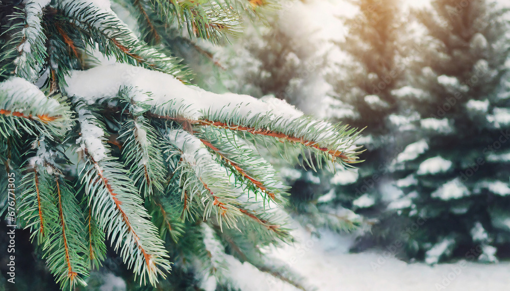 christmas and winter banner background concept christmas snowy fir tree branches close up