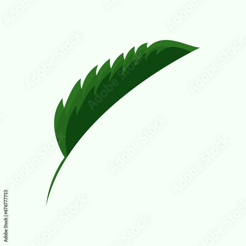 Flat Leaf Vector Symbol, Icon, Logo