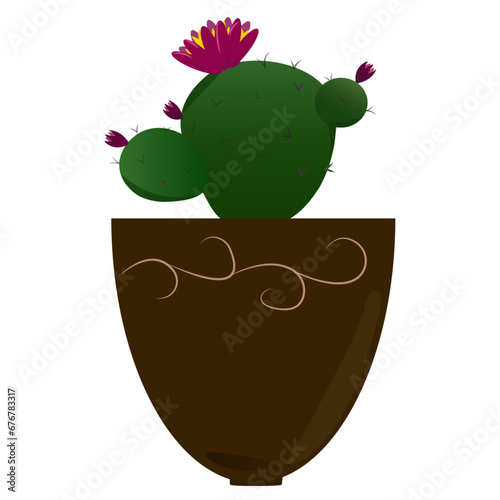Cactus plant pot vector illustration for flowershop, hose, office photo