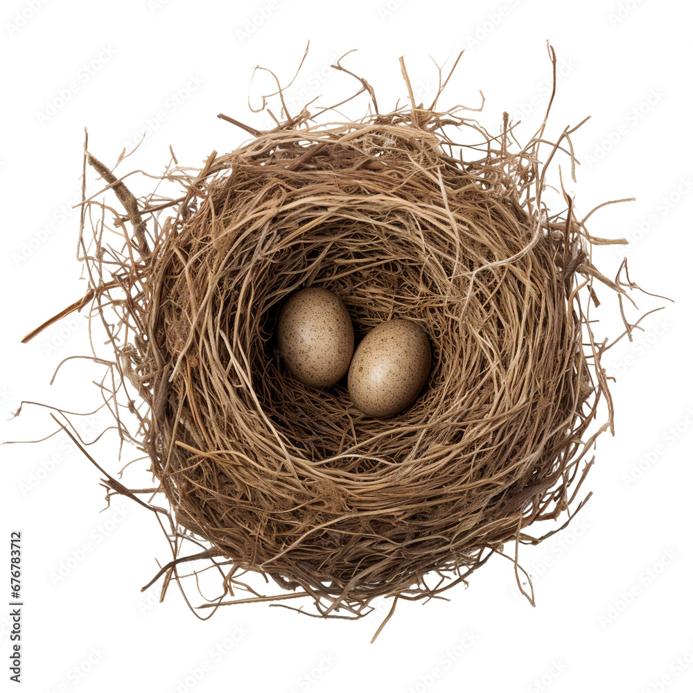 Bird's Nest, transparent background, isolated image, generative AI
Bird's Nest, transparent background, isolated image, generative AI