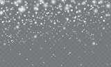 Snowfall Winter vector illustration on isolated background.