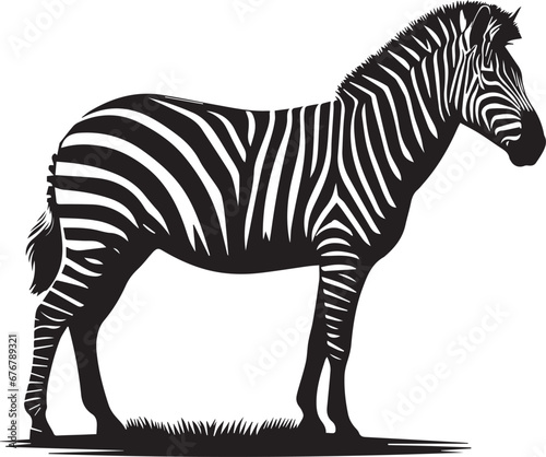 Zebra Silhouettes SVG EPS PNG