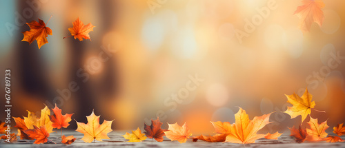 Colorful wide panoramic autumn background with orange leaves and blurred banner background