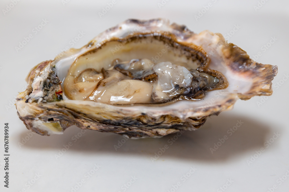 Fresh raw oyster isolated on white background Fresh raw oyster isolated on white background
