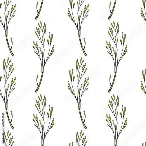 Vector seamless pattern with hand drawn evergreen branches. Beautiful design elements, ink drawing. Perfect for prints and patterns for Christmas or New Year holidays season.