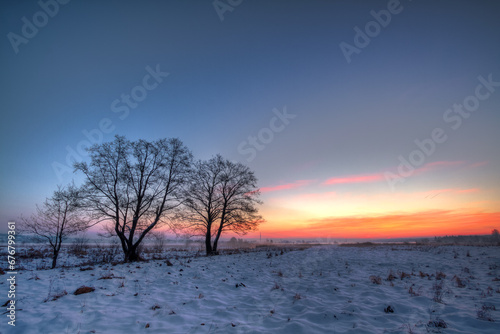 landscape winter trees and fields covered by snow in Poland  Europe on sunny day in winter  amazing clouds in blue sky