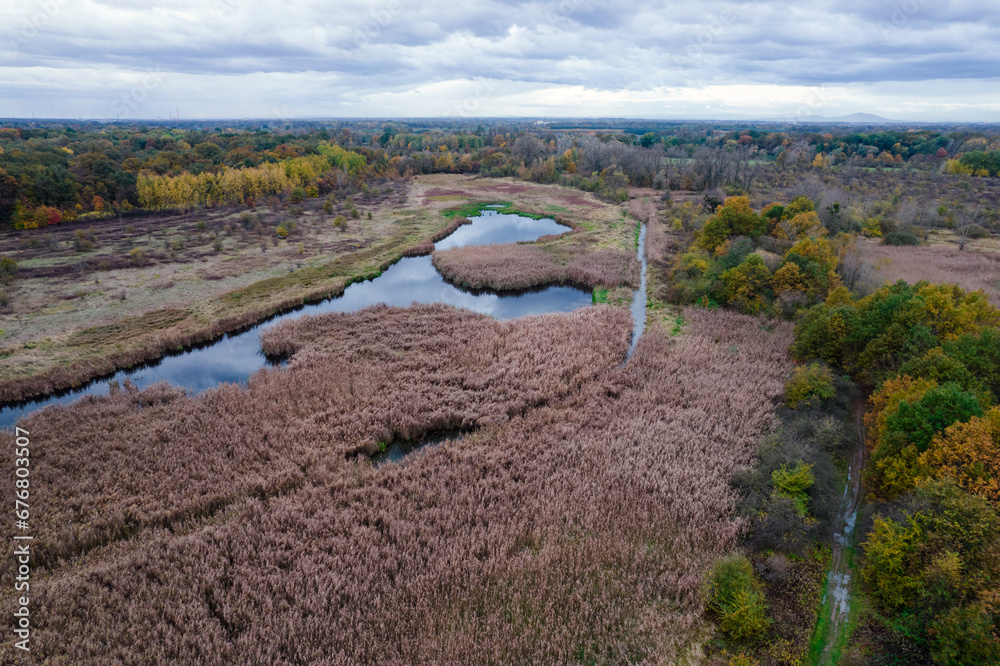 Obraz premium Aerial view of the river flowing through the reeds