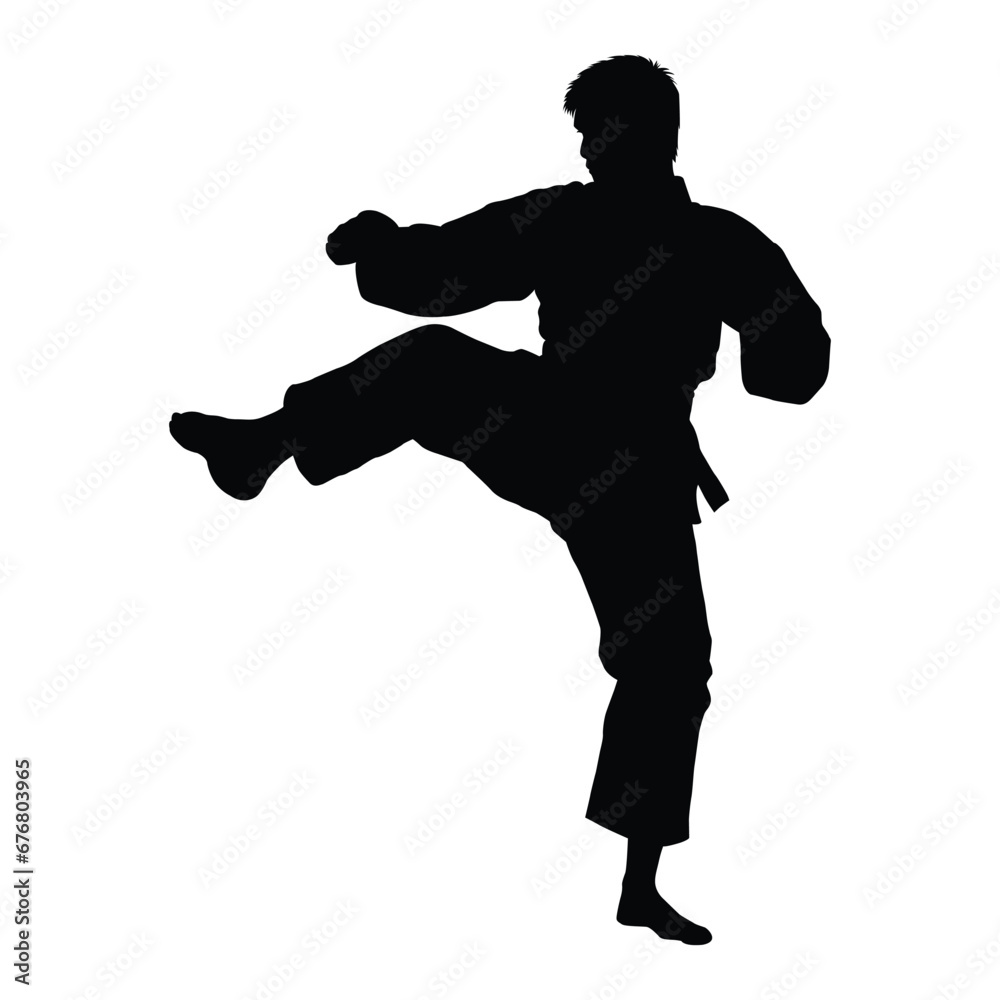 Martial Arts Flying Kick Silhouette